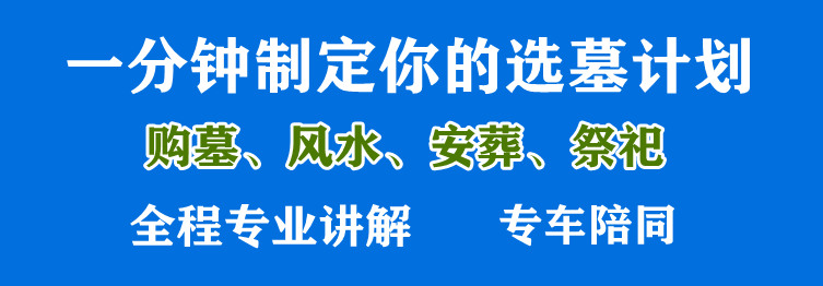 清明節(jié)期間,，西安鳳棲山人文紀(jì)念園采取了哪些措施來(lái)確保祭掃活動(dòng)的安全進(jìn)行？