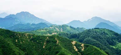 西安壽陽(yáng)山公墓坐哪輛公交車到
