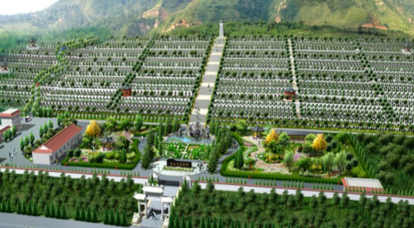 墓地管理費到底該交多少