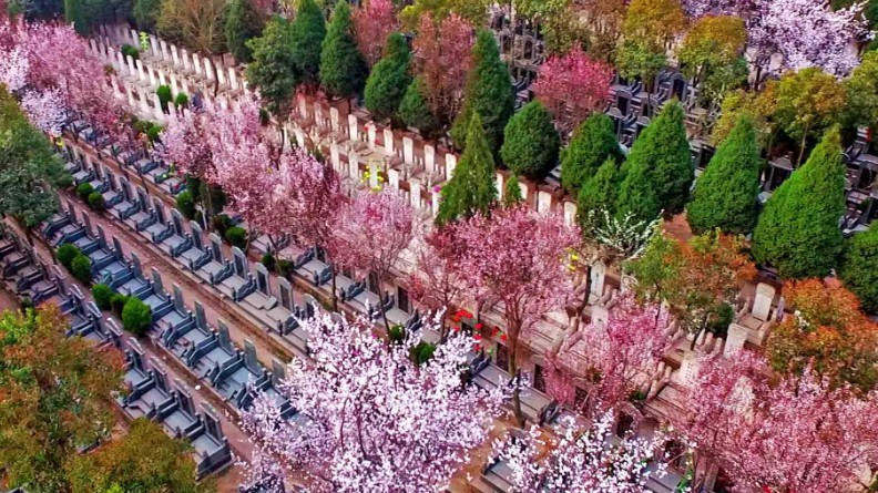 西安墓園怎么選擇地點(diǎn)-如何選擇合適的西安墓園地點(diǎn)？