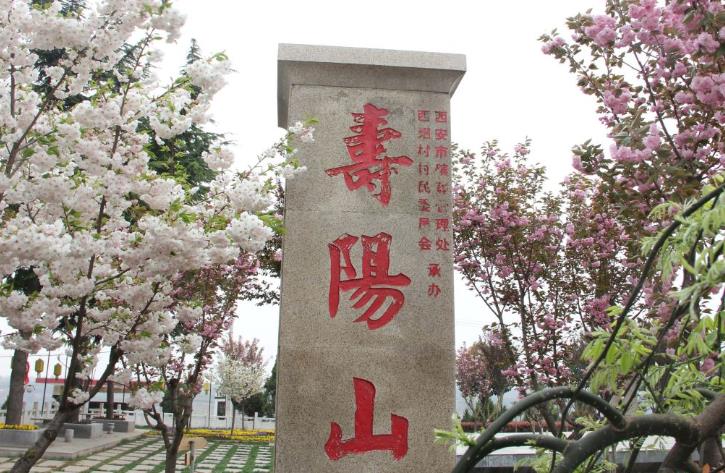 西安鯨魚溝壽陽山圖片,壽陽山公墓