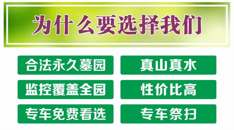 西安鯨魚溝壽陽山圖片,,壽陽山公墓