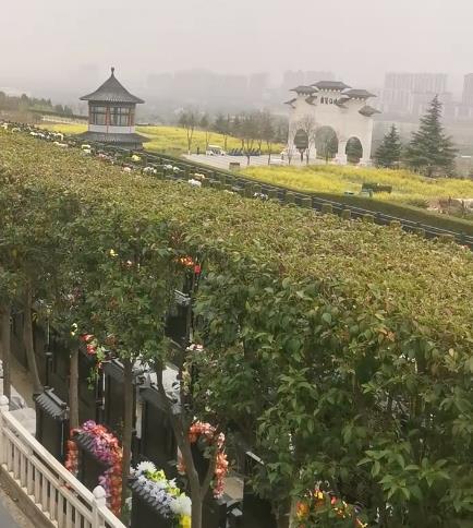 西安霸陵新區(qū)寶玉園,,視野開(kāi)闊,綠樹(shù)成蔭,!