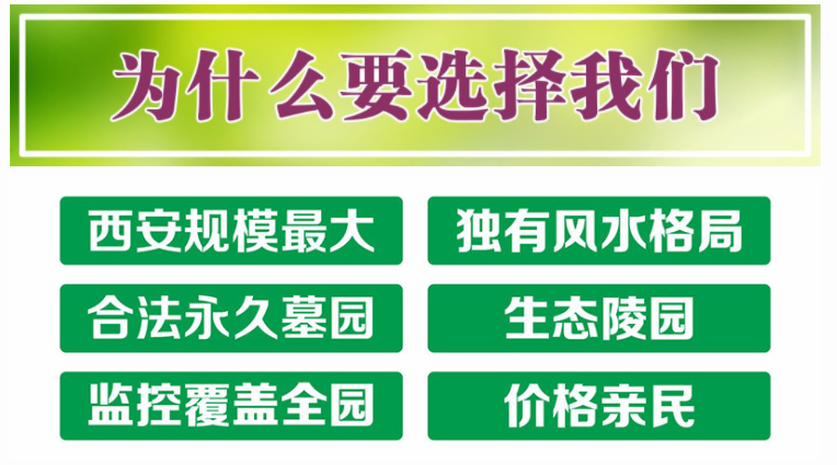 西安壽陽山墓園全程陪同解答,,根據(jù)客戶需求制
