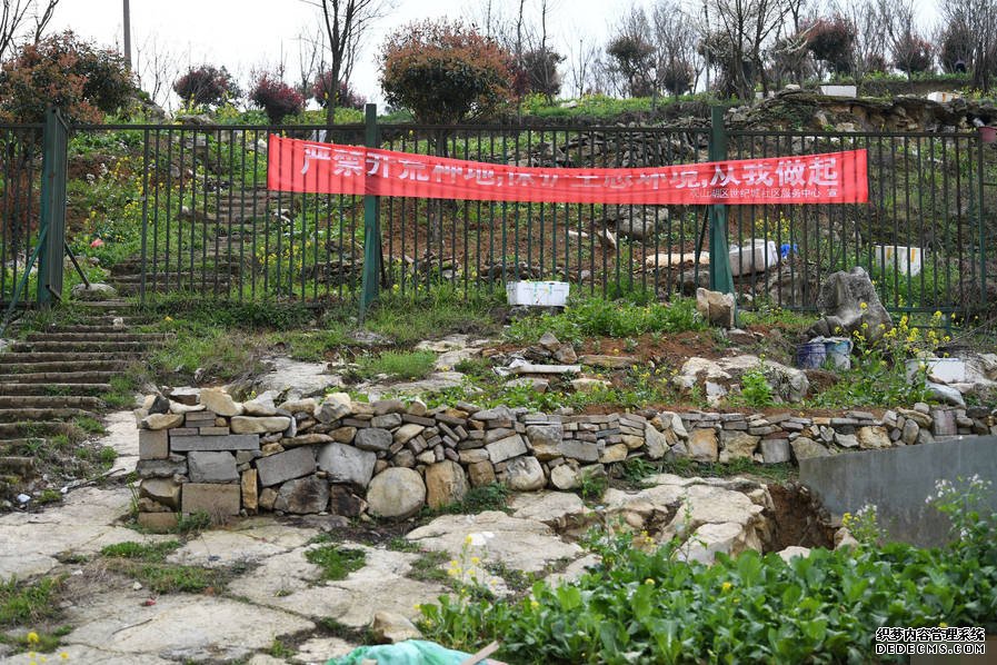 小區(qū)后山被私墾成農(nóng)場 挖平墓地種菜