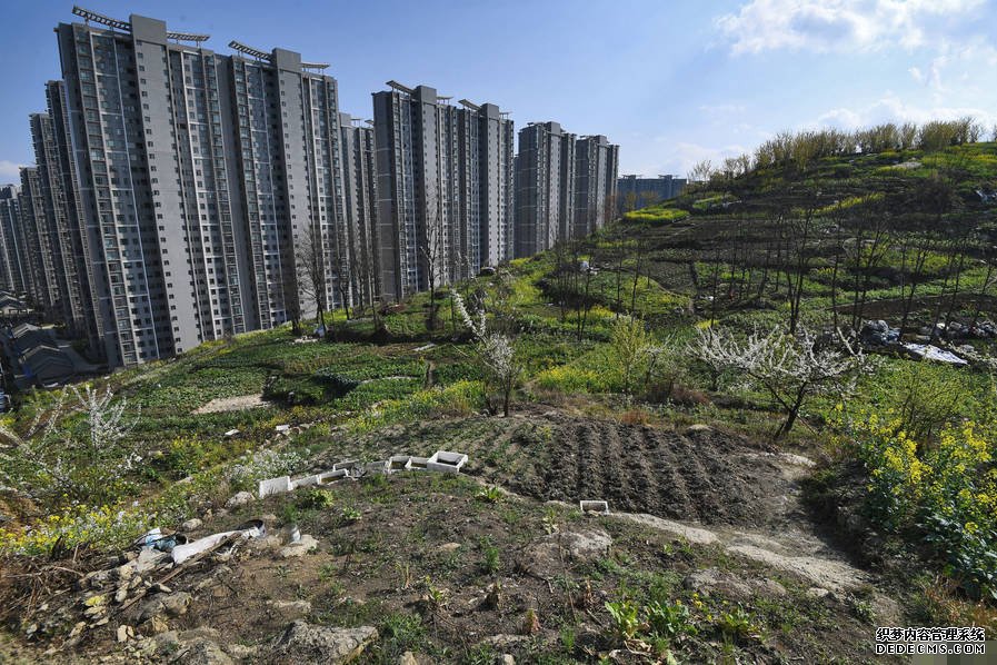 小區(qū)后山被私墾成農(nóng)場 挖平墓地種菜