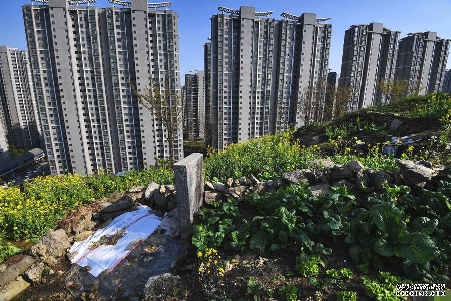 小區(qū)后山被私墾成農(nóng)場 挖平墓地種菜